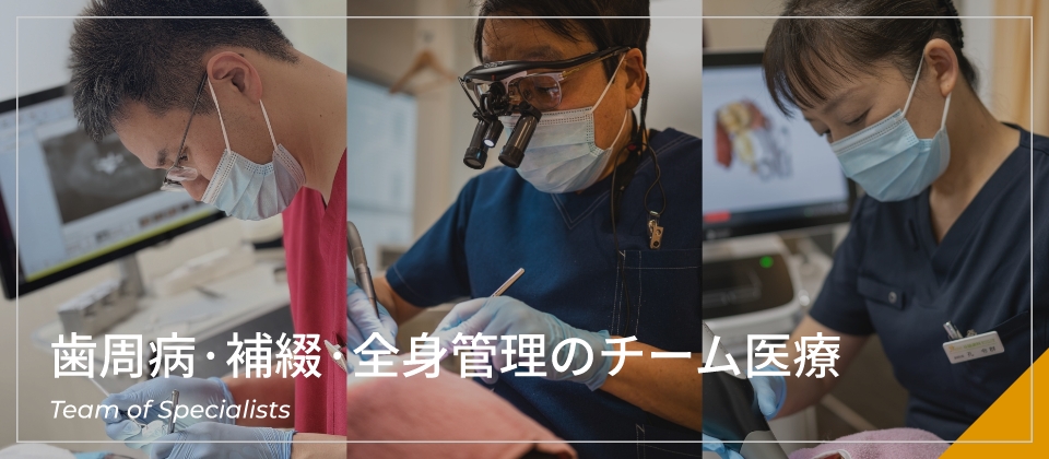 歯周病·補綴·全身管理のチーム医療
